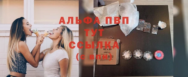 сатива Осинники