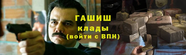 сатива Осинники