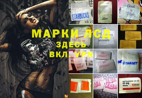 сатива Осинники