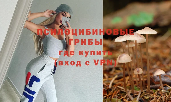 твердый Горняк