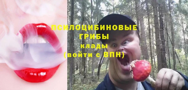 сатива Осинники